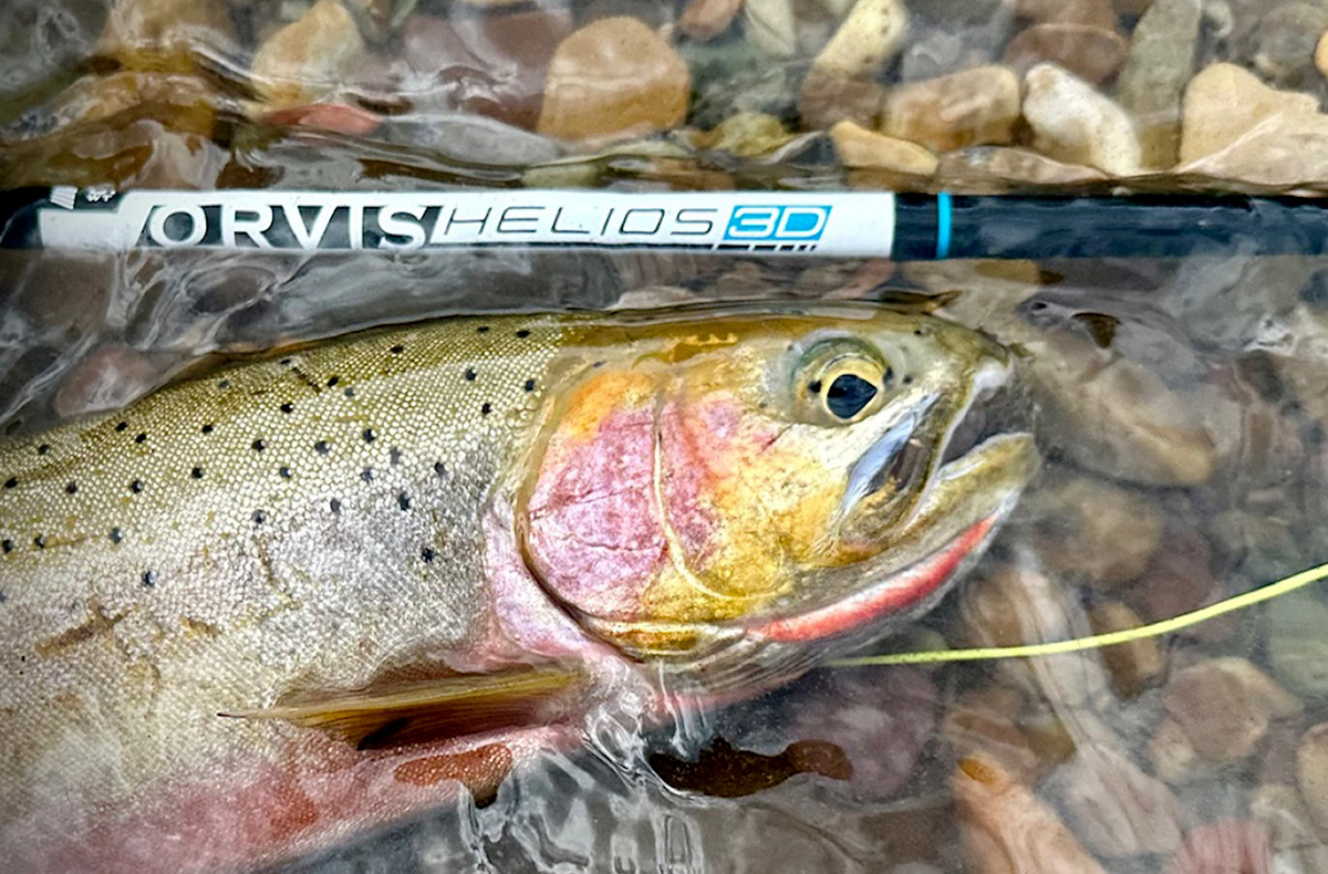 Fly Fishing North Idaho