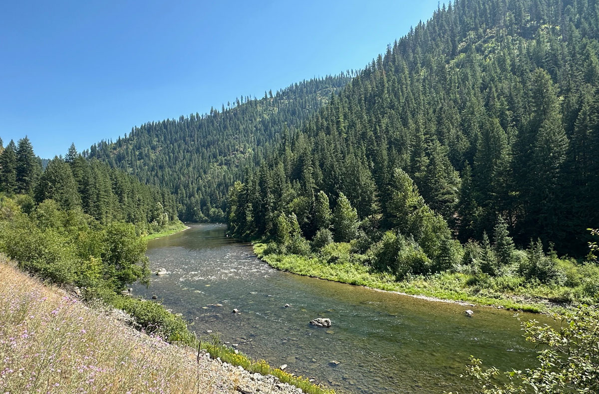 North Idaho Fly Fishing