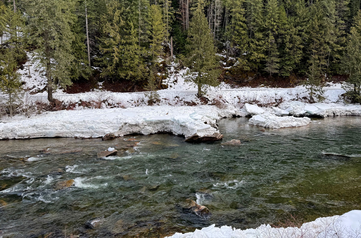 North Idaho Cutthroat Trout Fly Fishing