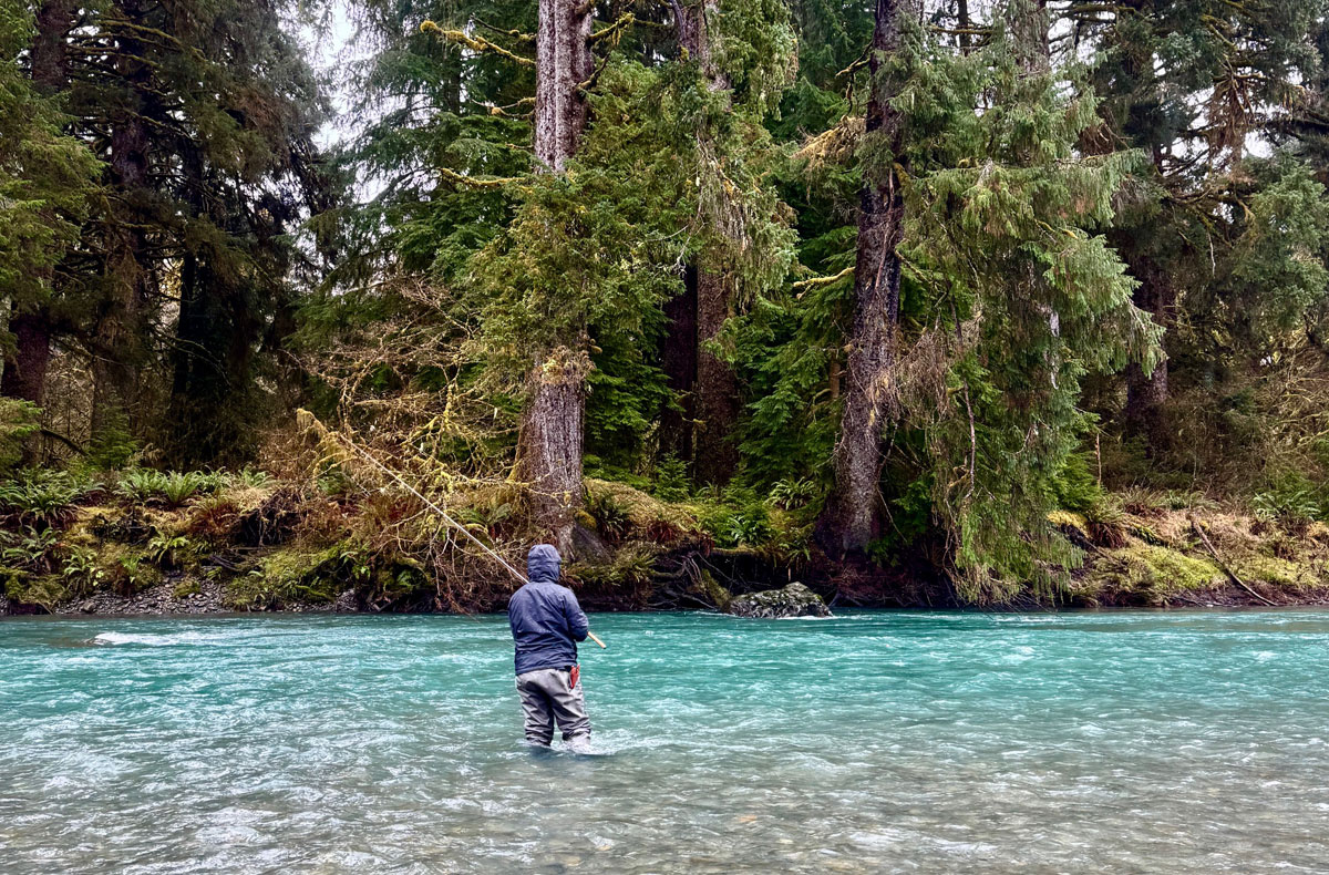 Steelhead Fishing OP Olympic Penninsula